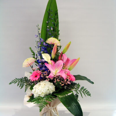 BS18 Lueur Rosée BS18 Lueur Rosée